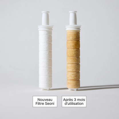 Pommeau de Douche Filtrant